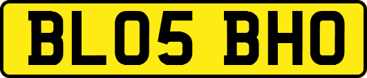 BL05BHO