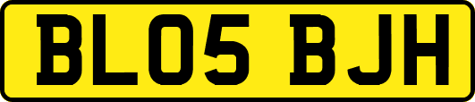 BL05BJH