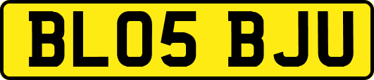 BL05BJU