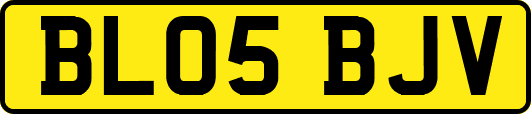 BL05BJV