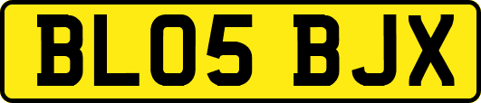 BL05BJX