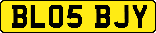 BL05BJY