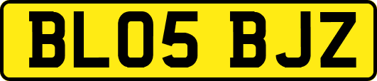 BL05BJZ