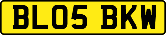 BL05BKW