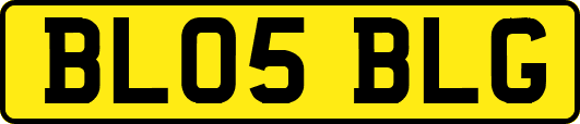 BL05BLG
