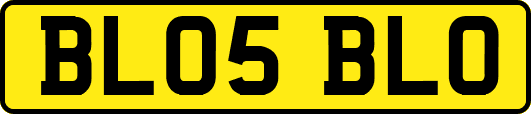 BL05BLO