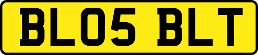 BL05BLT