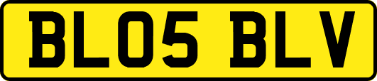 BL05BLV