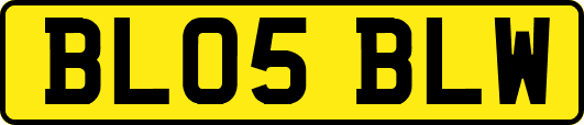 BL05BLW