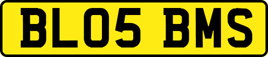 BL05BMS