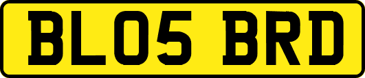 BL05BRD