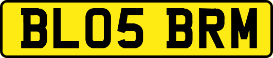 BL05BRM