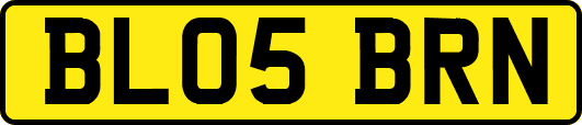 BL05BRN