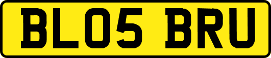 BL05BRU