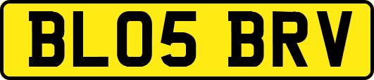BL05BRV