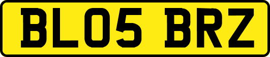 BL05BRZ
