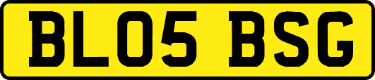 BL05BSG