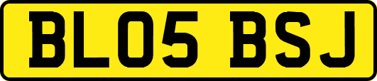 BL05BSJ