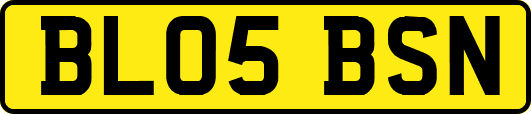 BL05BSN