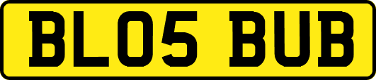 BL05BUB