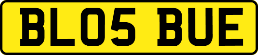 BL05BUE