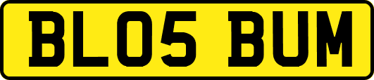 BL05BUM
