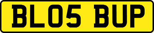 BL05BUP