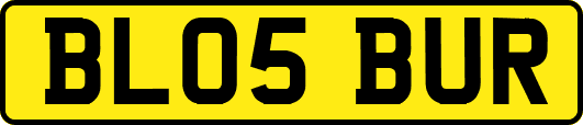 BL05BUR