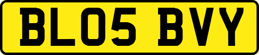 BL05BVY