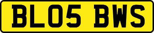 BL05BWS