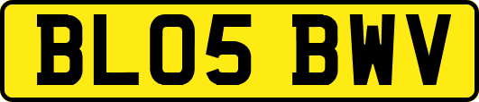 BL05BWV