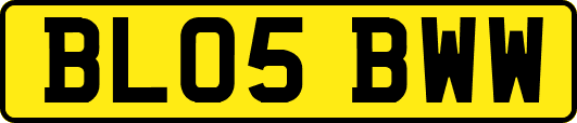 BL05BWW