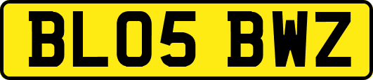 BL05BWZ