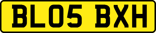 BL05BXH