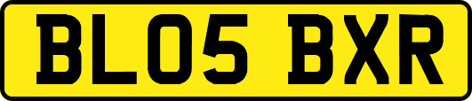 BL05BXR
