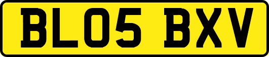 BL05BXV