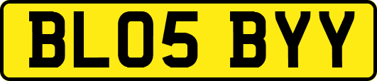 BL05BYY
