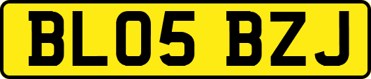 BL05BZJ