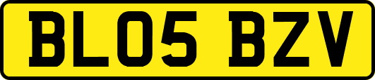 BL05BZV