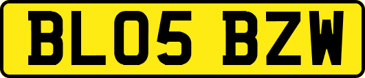 BL05BZW