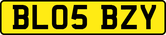 BL05BZY