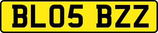 BL05BZZ
