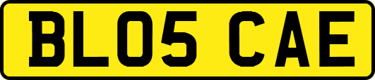 BL05CAE