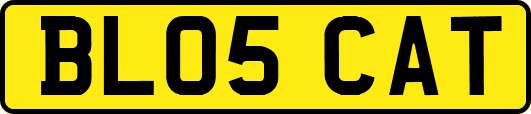 BL05CAT