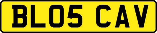 BL05CAV