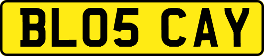 BL05CAY