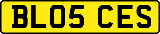 BL05CES