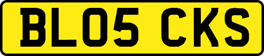 BL05CKS