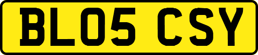 BL05CSY