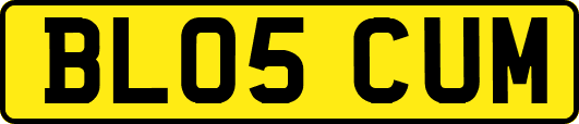 BL05CUM